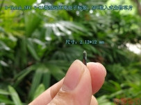 D-Think_NFC V-01植入式生物芯片，支持手機(jī)NFC讀取