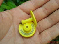 D-Think_C08狗電子耳標