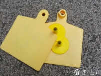 D-Think_C06U電子耳標