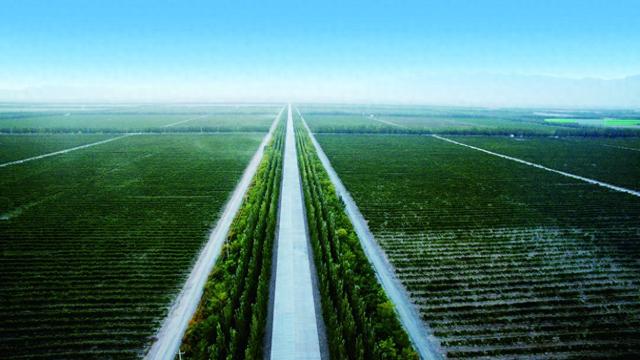 利好消息！免費(fèi)涉外商事認(rèn)證助力寧夏酒莊“出?！? width=