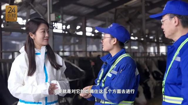 發(fā)現(xiàn)沒，有些城里人買鮮奶都不看日期了