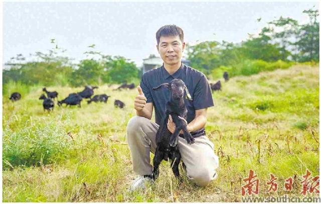 “90后”創(chuàng)業(yè)團(tuán)隊用大數(shù)據(jù)養(yǎng)羊