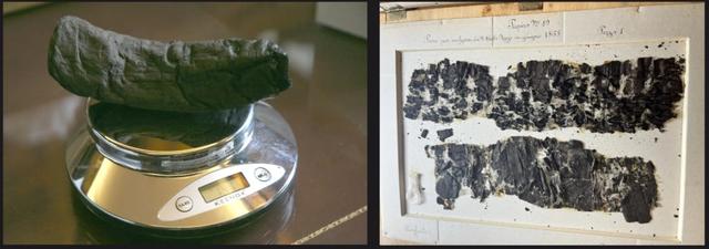 歷史與AI的距離｜從甲骨文到古希臘銘文：AI挑戰(zhàn)古代文獻(xiàn)