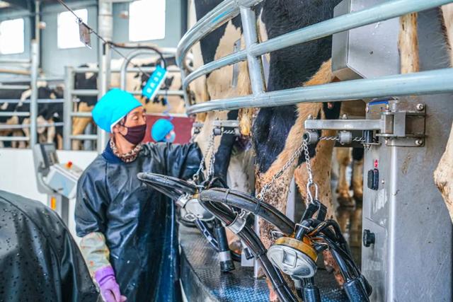 西寧這里 “?！眲攀恪? data-ratio='0.6666666666666666' data-imgfileid='505356116' data-type='jpeg' data-w='1080' style='width: 100%;height: auto;' data-backh='354' data-backw='531' data-s='300,640' class='rich_pages wxw-img js_insertlocalimg'  onerror=