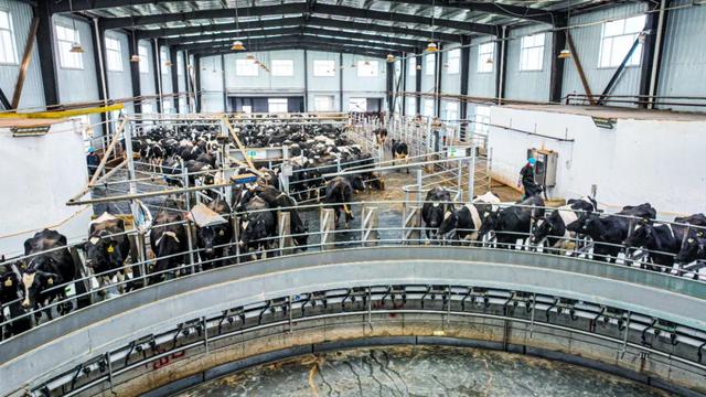 西寧這里 “?！眲攀恪? data-backh='299' data-s='300,640' class='rich_pages wxw-img js_insertlocalimg' style='width: 100%;height: auto;' data-imgfileid='505356115' data-backw='531' data-w='1080' data-ratio='0.562962962962963' data-type='jpeg'  onerror=