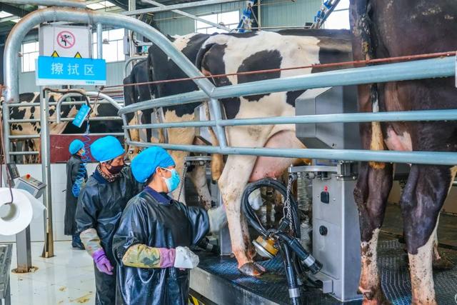 西寧這里 “?！眲攀恪? style='' data-ratio='0.6666666666666666' data-imgfileid='505356120' data-type='jpeg' data-s='300,640' class='rich_pages wxw-img js_insertlocalimg' data-w='1080'  onerror=