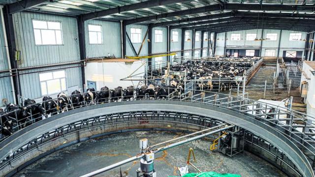 西寧這里 “?！眲攀恪? data-w='1080' style='' data-ratio='0.562962962962963' data-imgfileid='505356118' data-type='jpeg' data-s='300,640' class='rich_pages wxw-img js_insertlocalimg'  onerror=