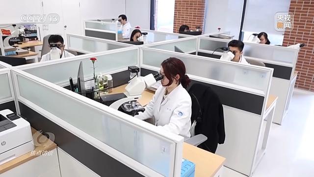 焦點(diǎn)訪談丨輔助診斷、AI問答、健康管理……AI正重塑醫(yī)療服務(wù)鏈條